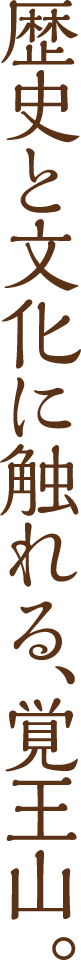 歴史と文化に触れる覚王山